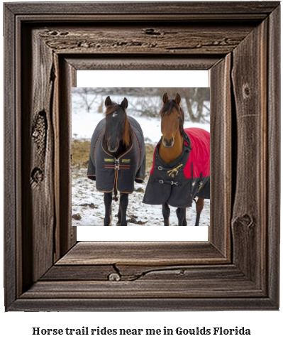 horse trail rides near me in Goulds, Florida